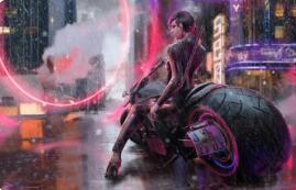 | 和平精英游艇皮肤评价语